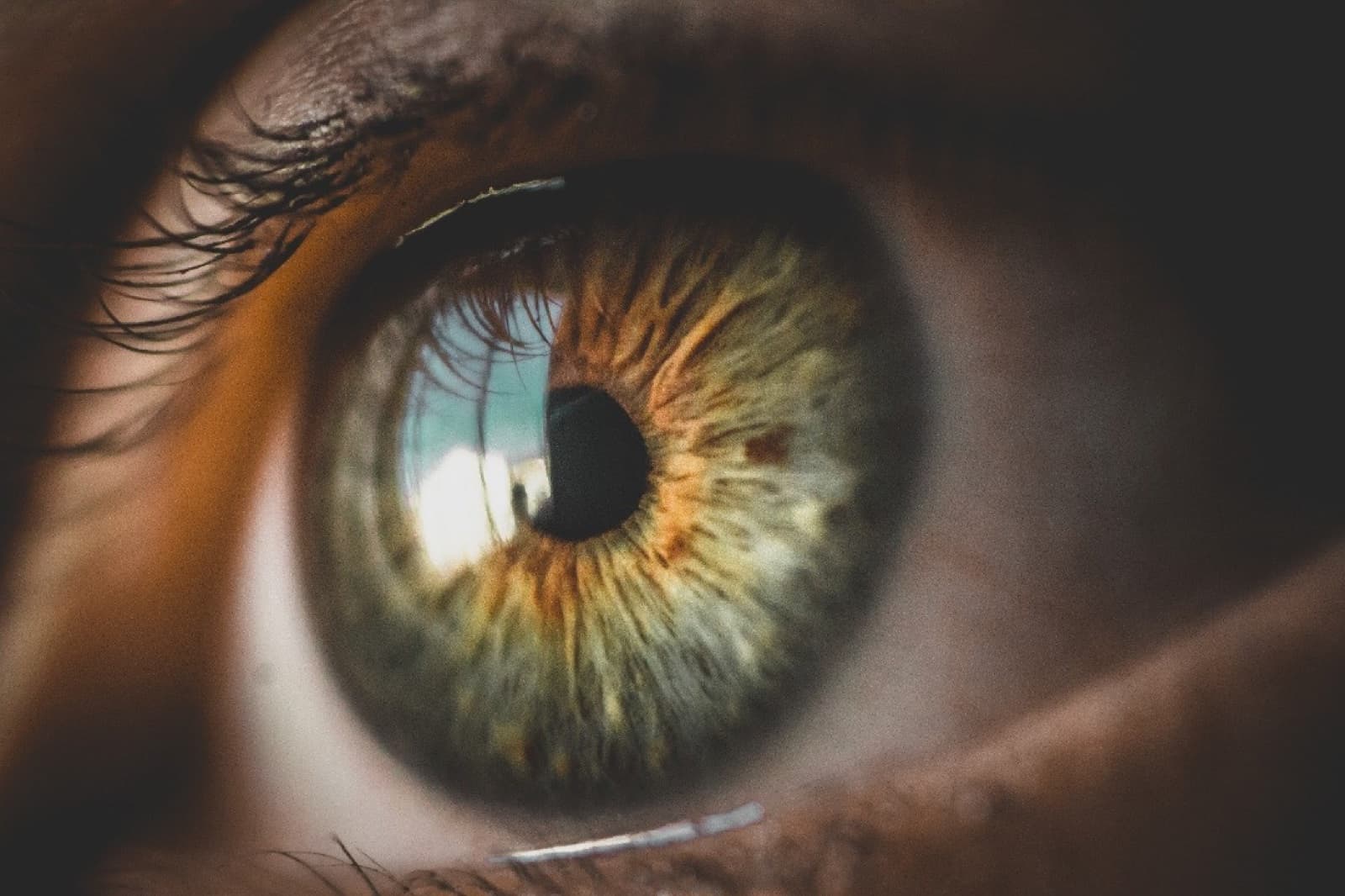 Exame oftalmológico para avaliação de glaucoma e pressão intraocular